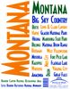 State of Mine Montana Scrapbook Stickers